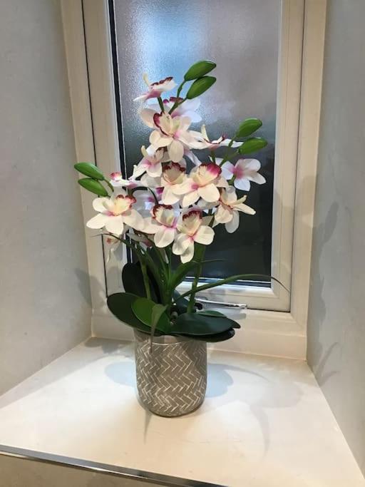 Spacious 2 Bedroom Flat In Heart Of بالاتر المظهر الخارجي الصورة