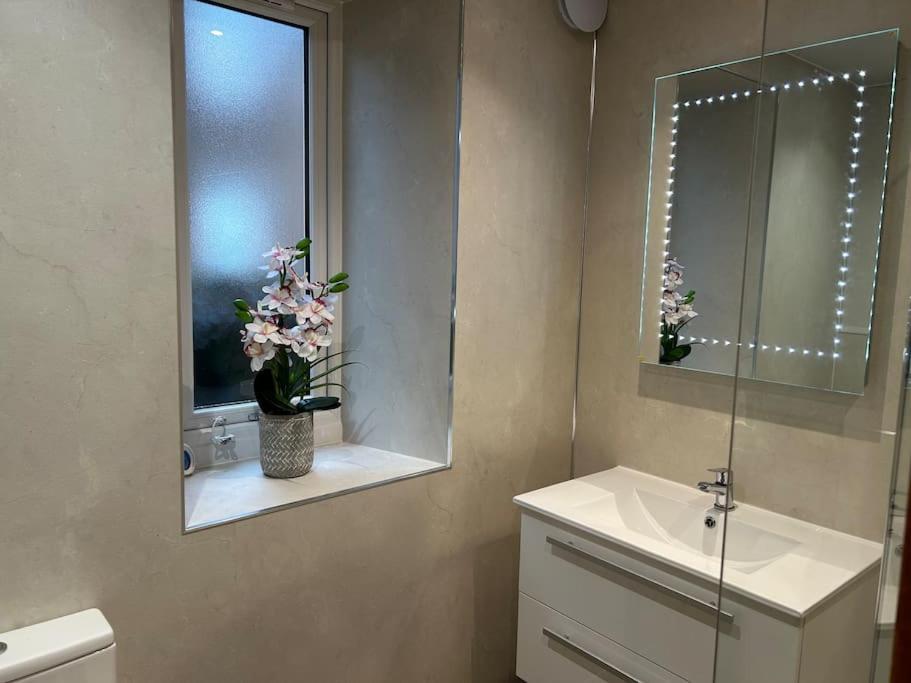 Spacious 2 Bedroom Flat In Heart Of بالاتر المظهر الخارجي الصورة